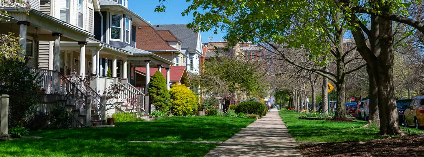 View of the front lawns of a row of houses in an urban neighborhood