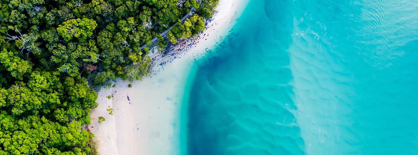 Aerial view of white sand beach bordered by forest and blue waters