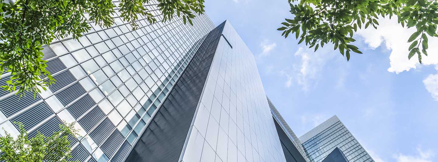 Looking upward from base of three glass faced skyscrapers with tree branches in foreground