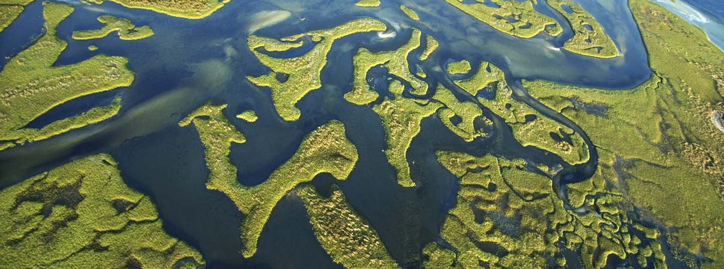 Aerial view of a delta with blue waters and green vegetation