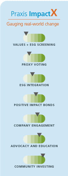 Graphic with seven gauges representing ImpactX strategies