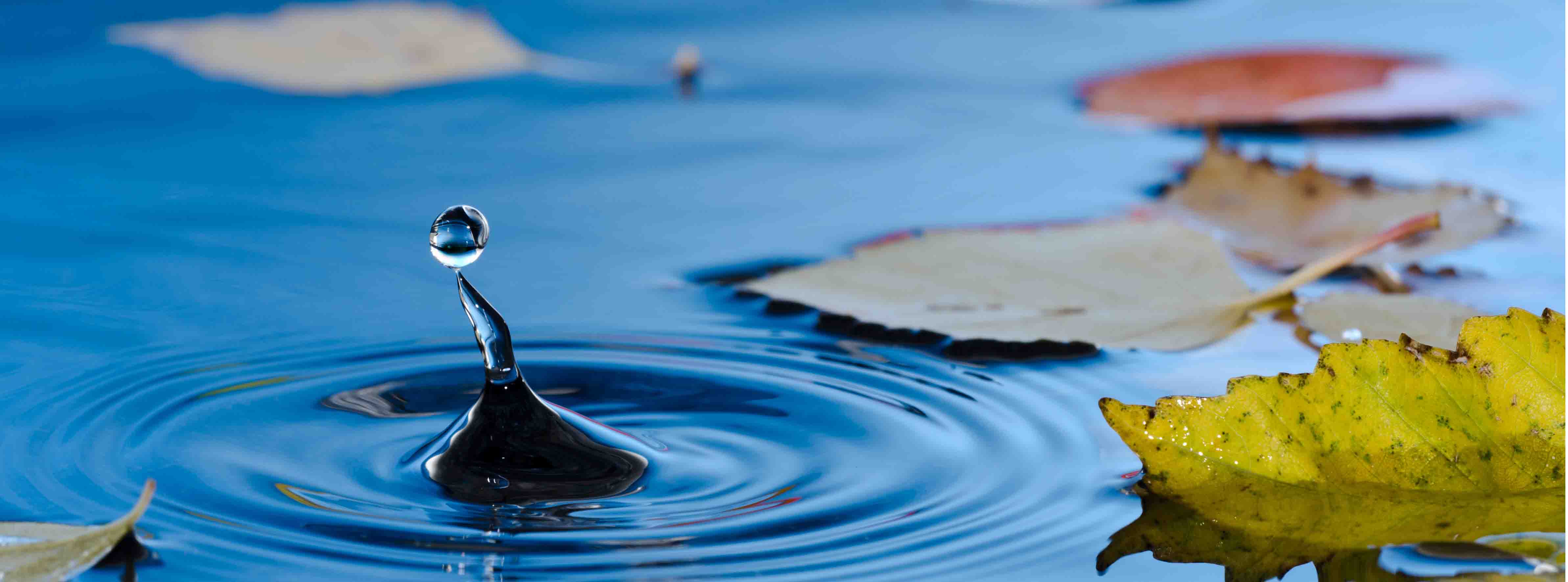 Water droplet in blue water with colorful leaves on top of the water
