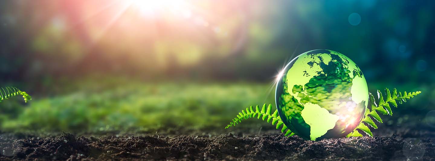 Closeup of a small crystal globe on a fern leaf in a field of grass in sunlight