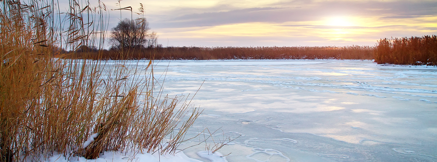 Frozen lake during winter