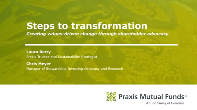 Title slide showing title Steps to transformation