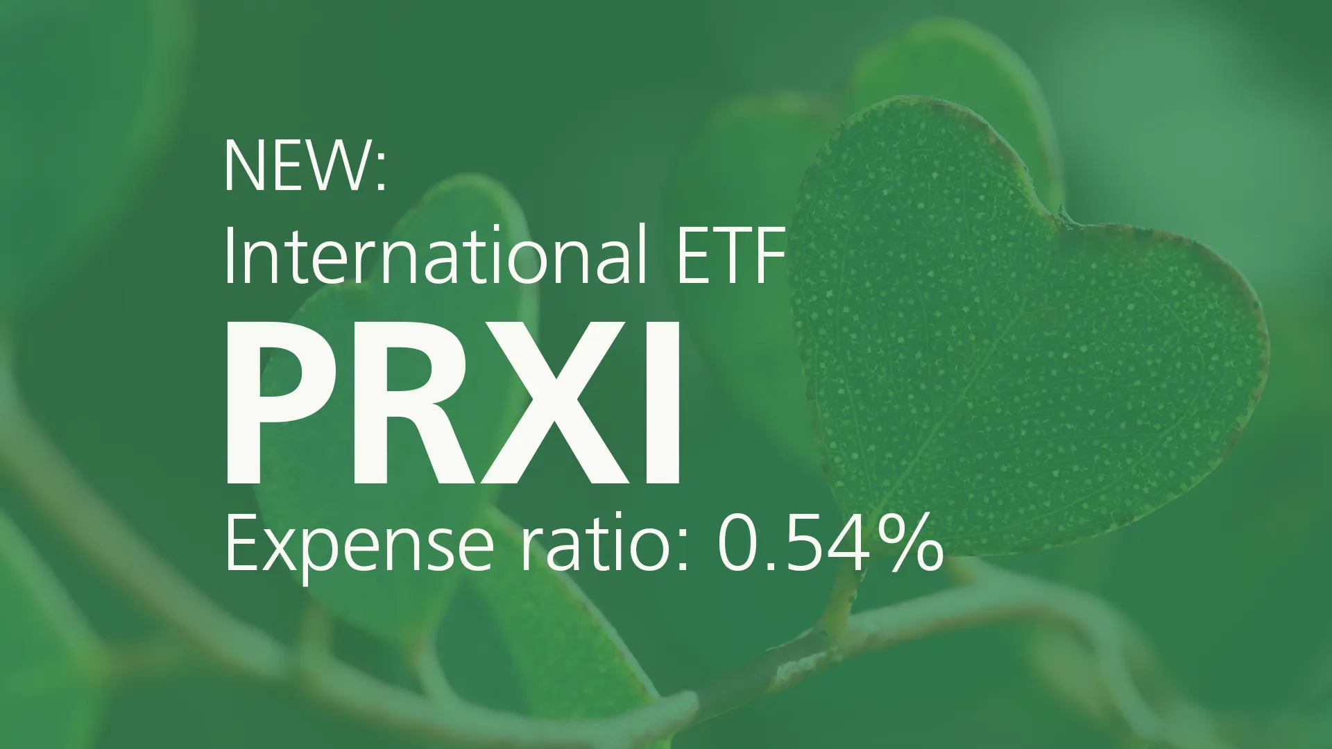 New: International PRXI Expense ratio 0.54%